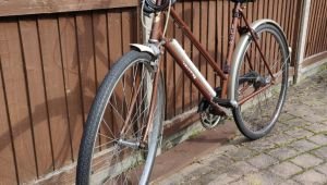 Ladies Elswick Brown Bike