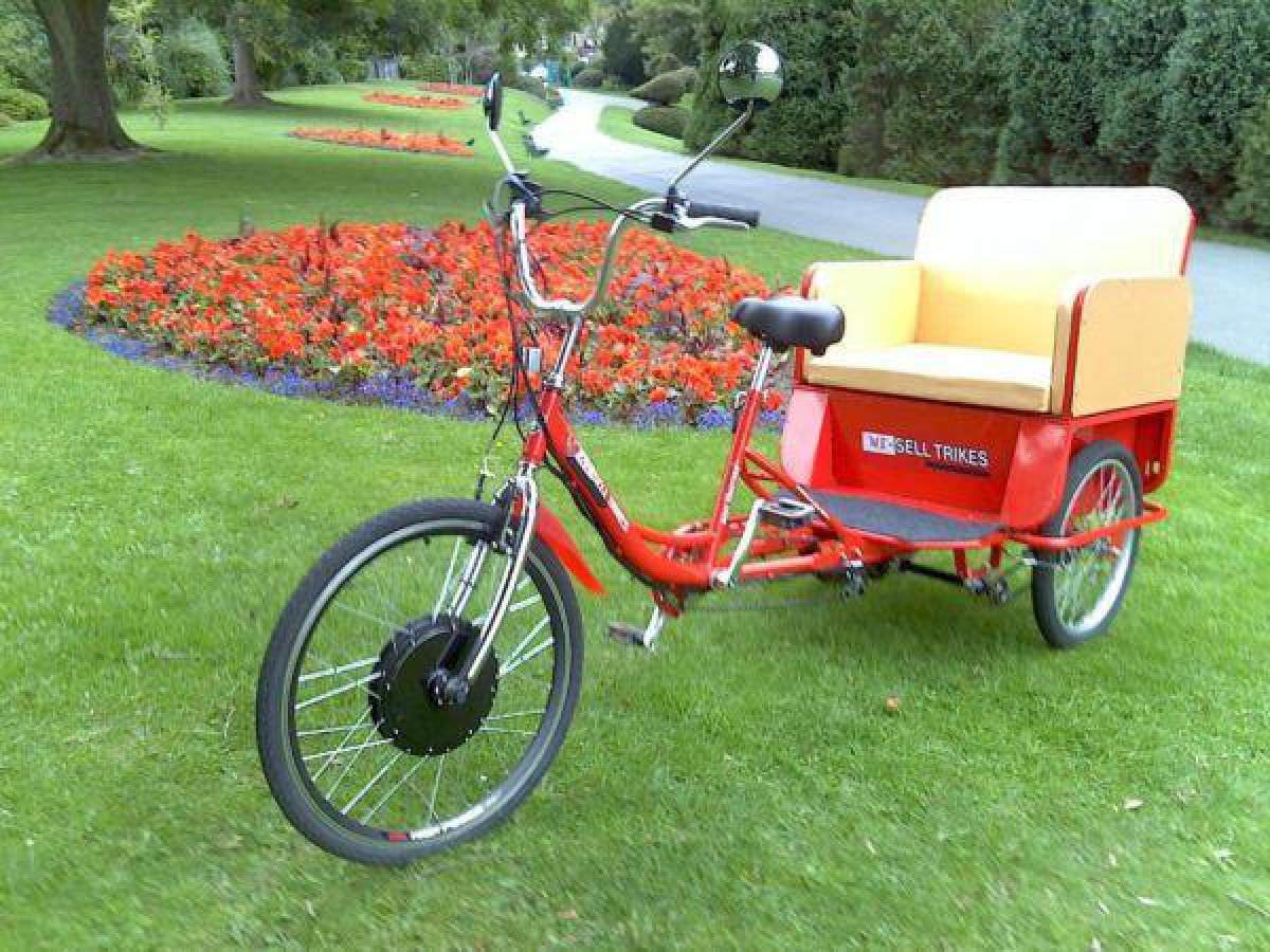 NEW Adult Electric Tricycle Rickshaw Trike Takes 3 People.