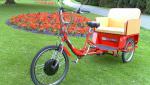 NEW Adult Electric Tricycle Rickshaw Trike Takes 3 People.