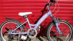 Girls Mountain Bicycle, 6 speed (Wokingham RG40)