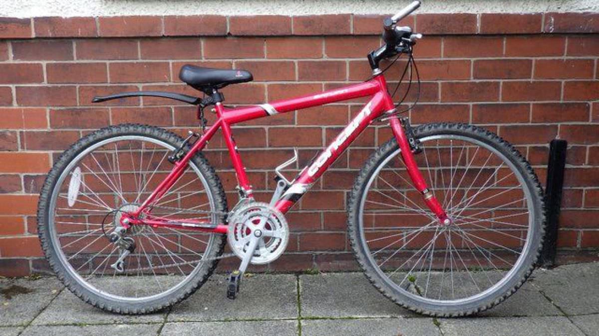 Red Unisex Bike