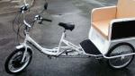 Electric Rickshaw Tricycle Utility Vehicle Pick-Up Trike New
