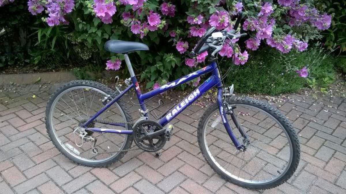 Girls/teenager Rayleigh Mountain bike 24" with 15 gears