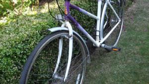 Raleigh Pioneer - Lady's Bicycle