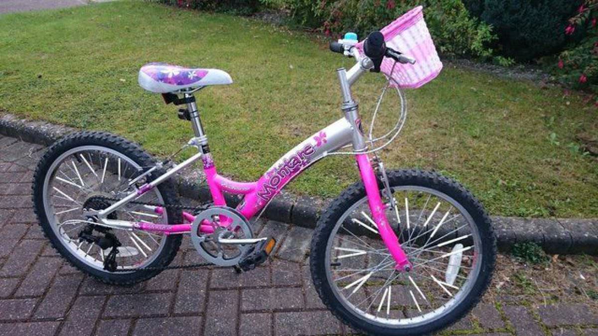 Girl's bike Falcon Montare 11inch frame Used