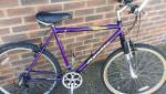 GENTS BIKE APOLLO 21" FRAME. FULLY SERVICED