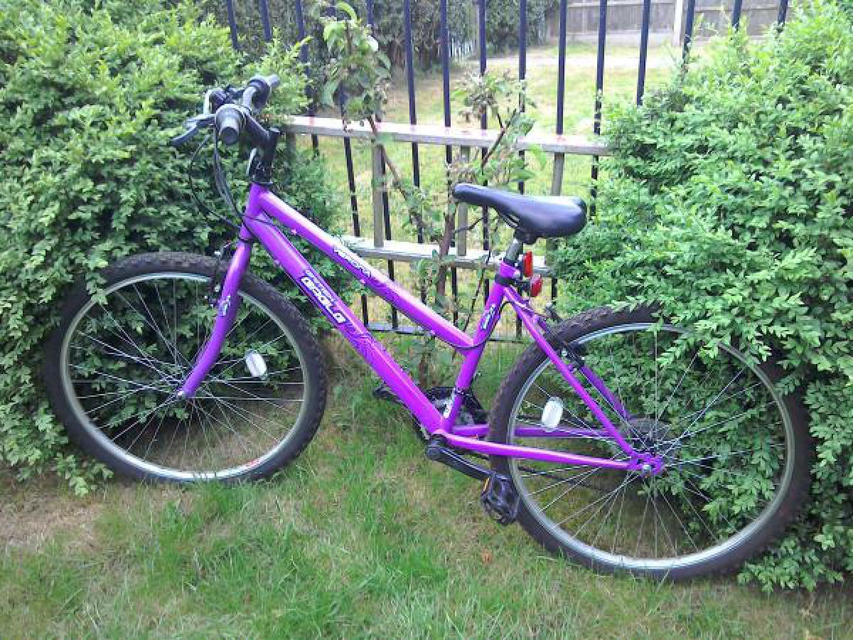 Girls Purple Bicycle