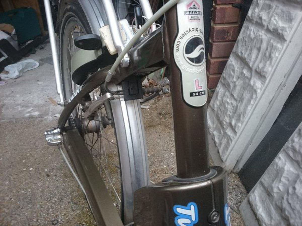 Giant lafree twist lite Electric bike ebike