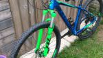 Cube Limited Edition Race mountain bike