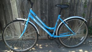 Beautiful Blue Unisex City Bicycle 🚲 Dutch style Professional Commuter